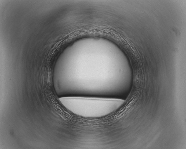 X0000111361490200907100945