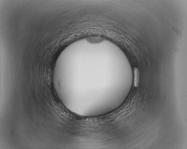 X0000111361491200907100945