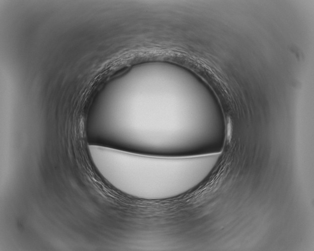 X0000111361492200907100945