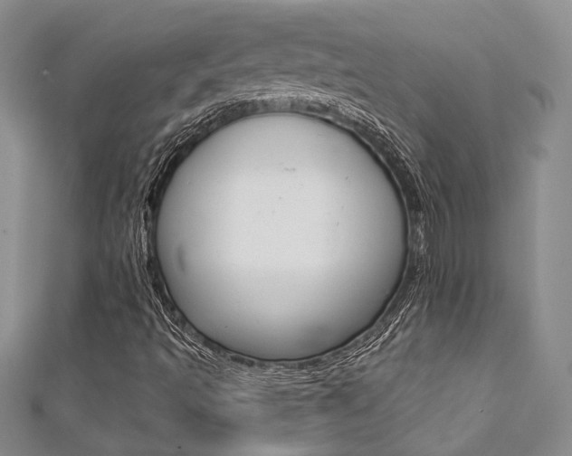 X0000111361493200907100945