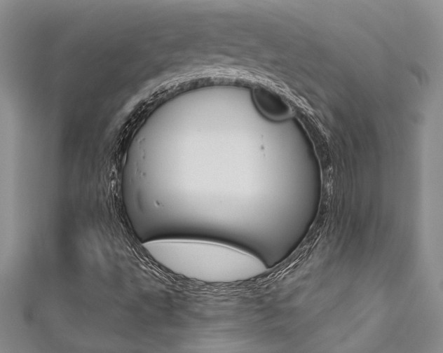 X0000111361495200907100945