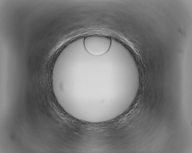 X0000111361496200907100945