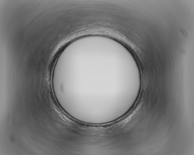 X0000111361498200907100945