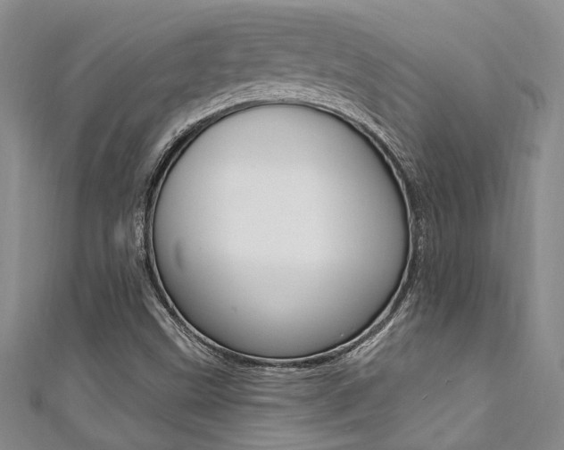 X0000111361499200907100945