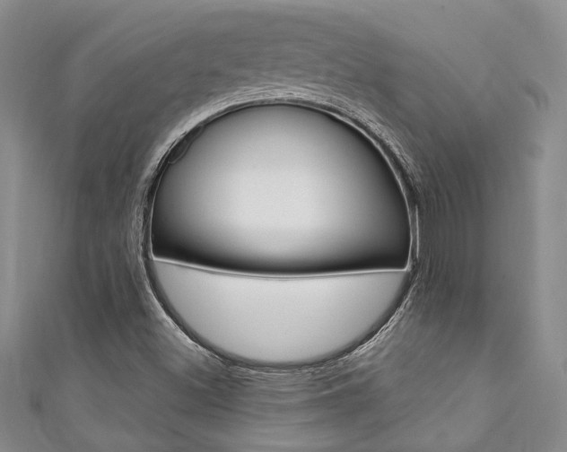 X0000111361500200907100945