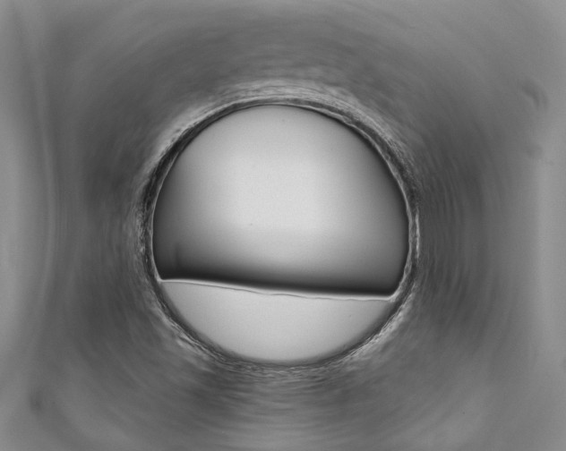 X0000111361501200907100945
