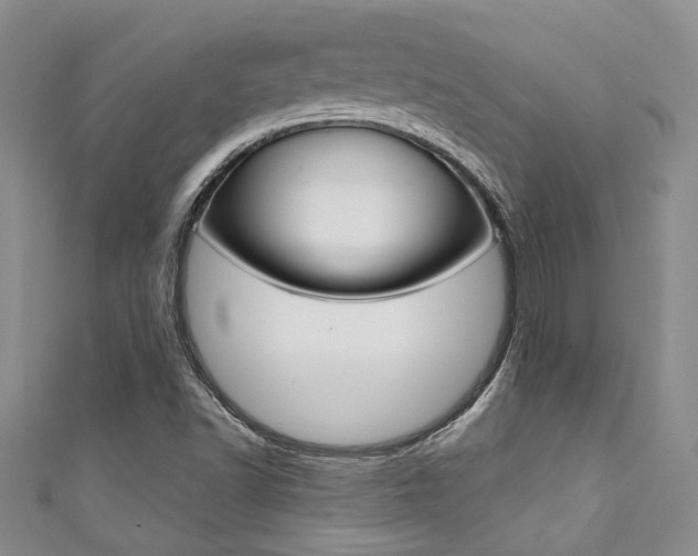 X0000111361502200907100945