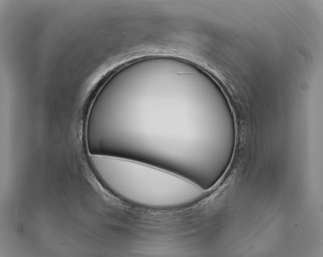 X0000111361503200907100945