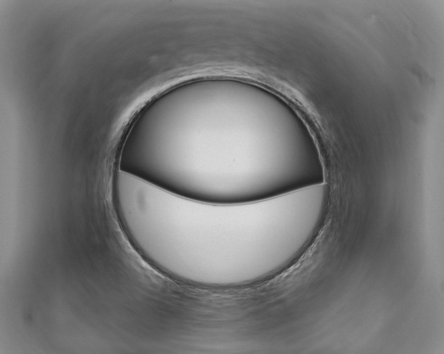 X0000111361504200907100945