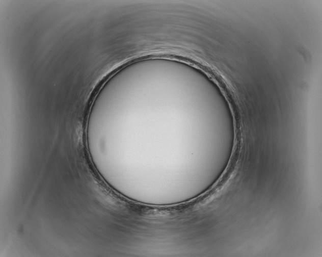 X0000111361505200907100945
