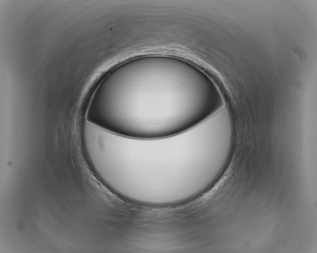 X0000111361506200907100945