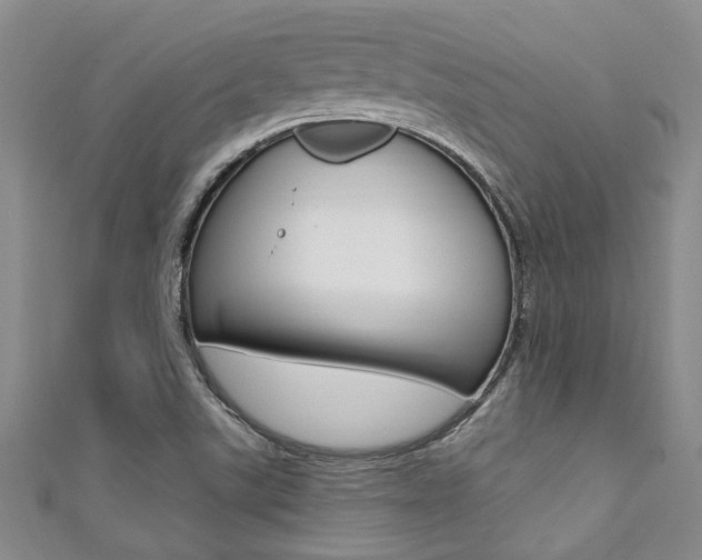 X0000111361507200907100945