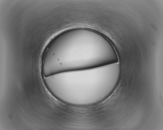 X0000111361508200907100945