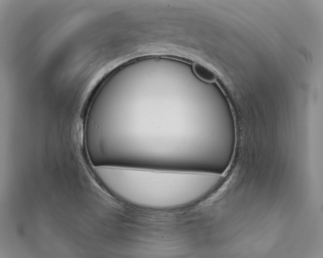 X0000111361509200907100945
