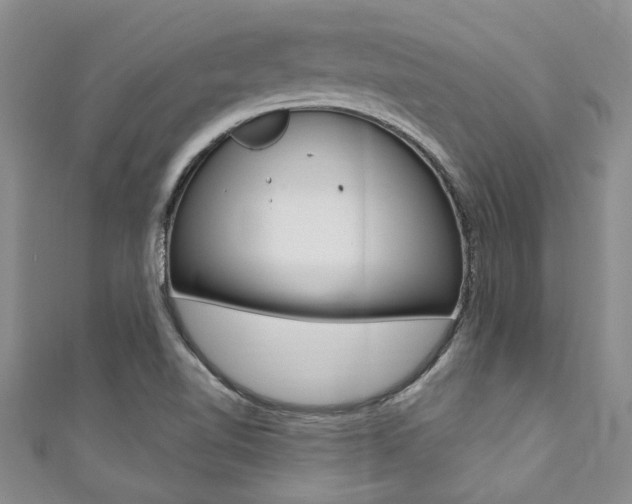 X0000111361510200907100945