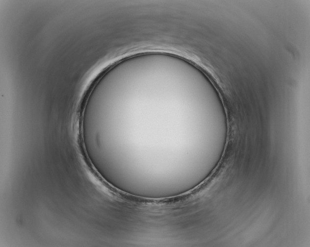 X0000111361511200907100945