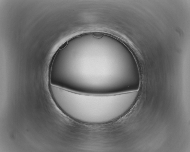 X0000111361512200907100945