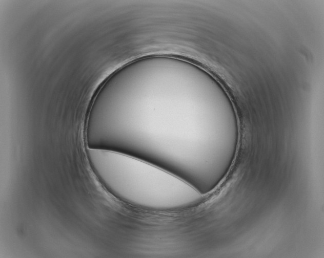 X0000111361513200907100945