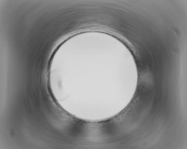 X0000111361514200907100945