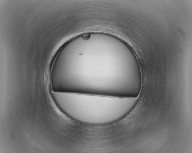 X0000111361515200907100945