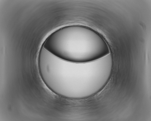 X0000111361516200907100945