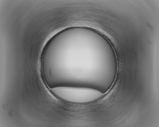 X0000111361517200907100945