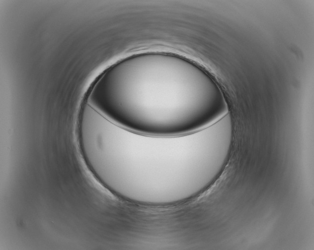 X0000111361518200907100945