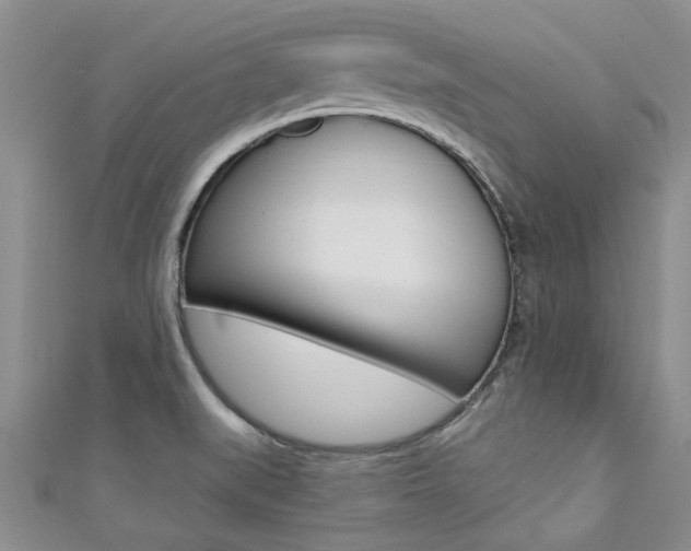 X0000111361519200907100945
