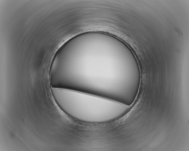 X0000111361521200907100945