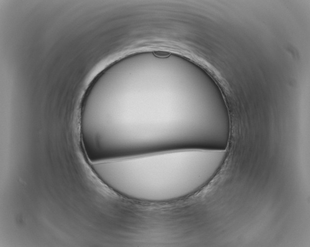 X0000111361522200907100945