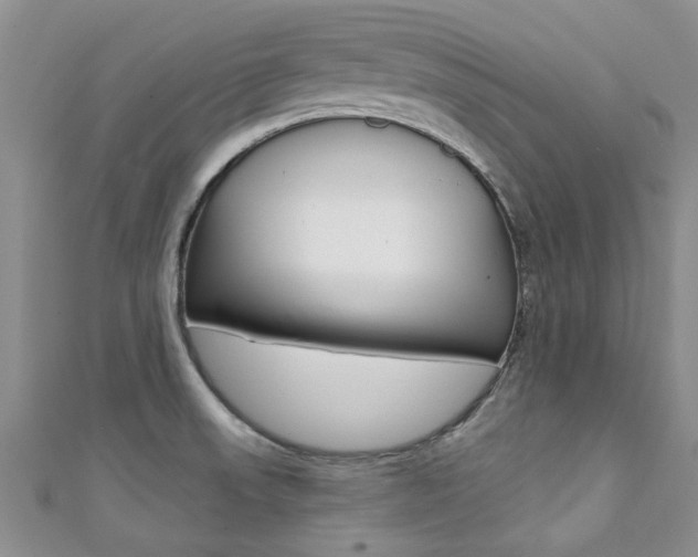 X0000111361523200907100945