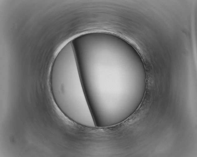 X0000111361524200907100945