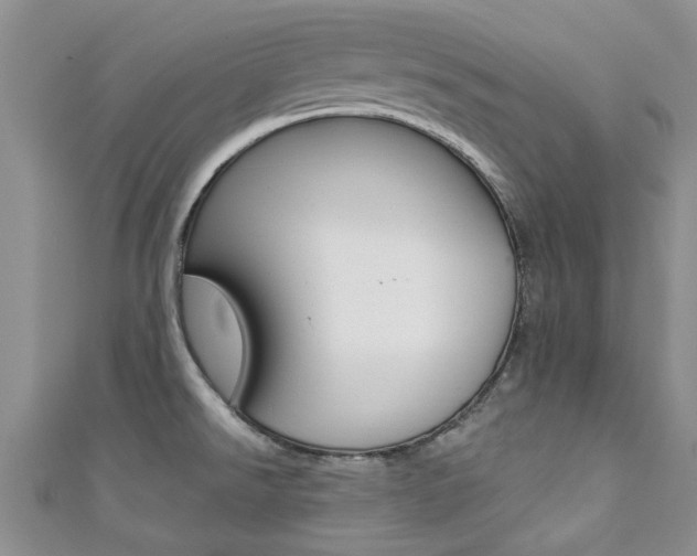 X0000111361526200907100945