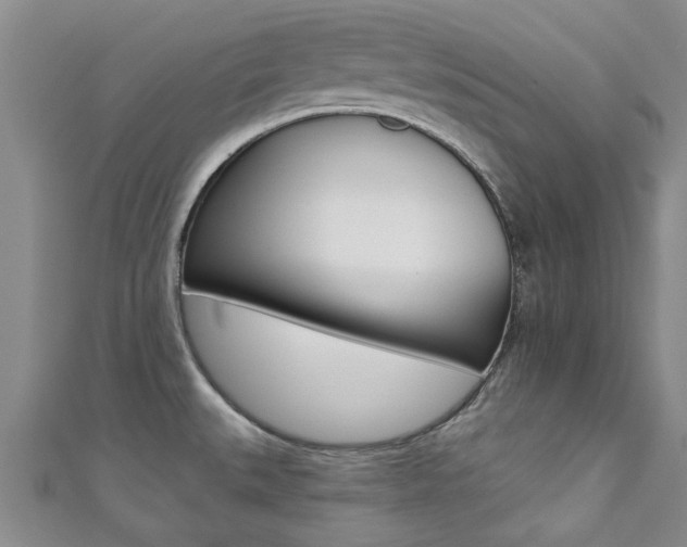 X0000111361527200907100945