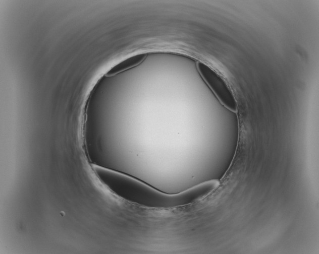X0000111361528200907100945