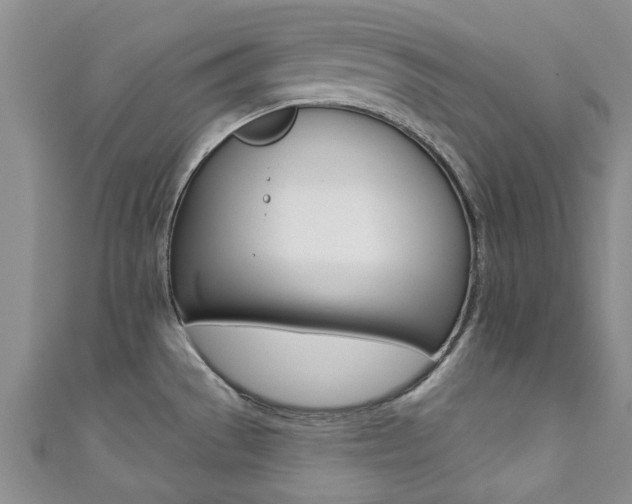 X0000111361529200907100945