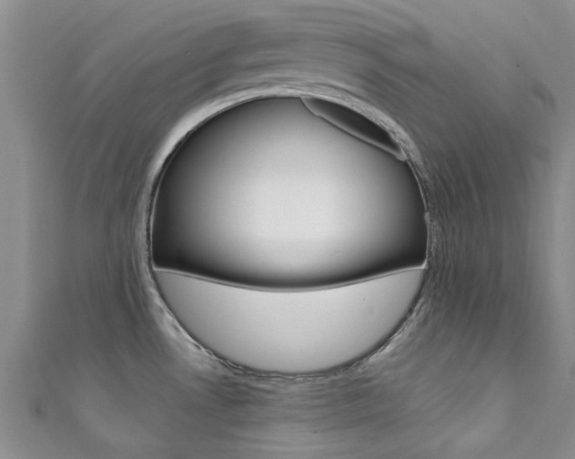 X0000111361530200907100945