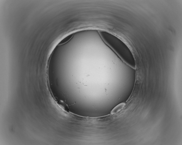 X0000111361532200907100945