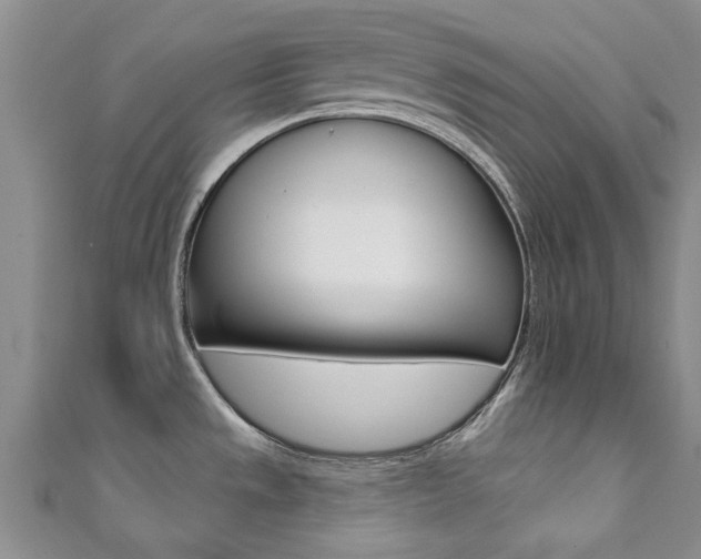 X0000111361533200907100945