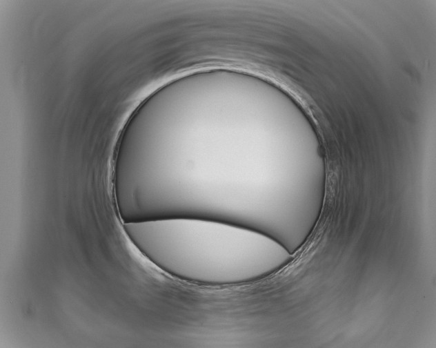 X0000111361535200907100945