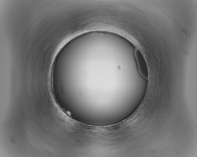 X0000111361536200907100945