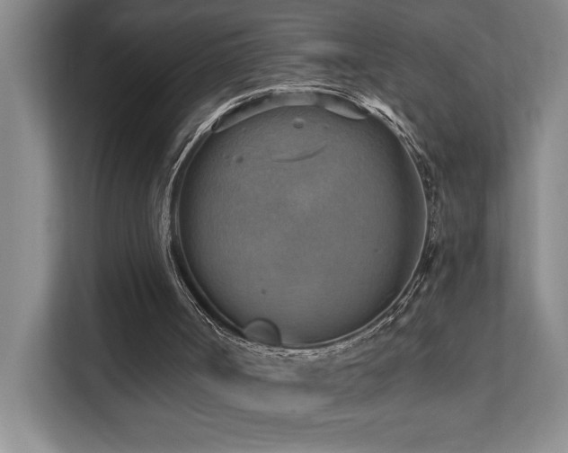 X0000111360002200907101240