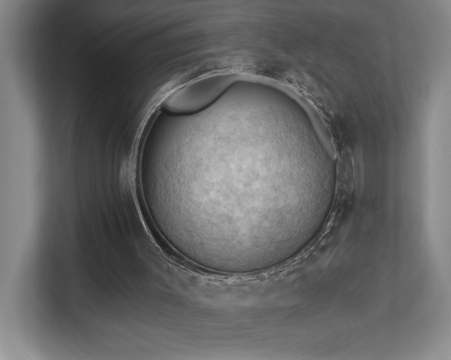X0000111360003200907101240