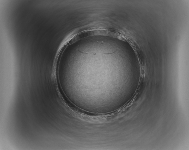 X0000111360004200907101240
