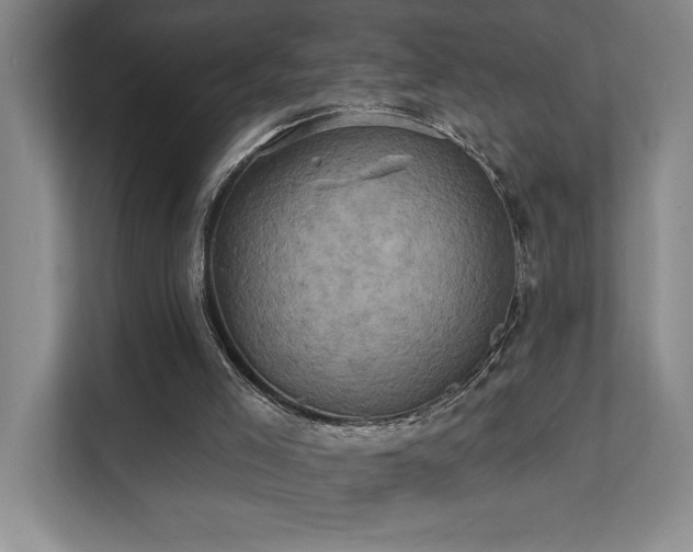 X0000111360005200907101240