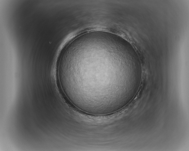X0000111360006200907101240