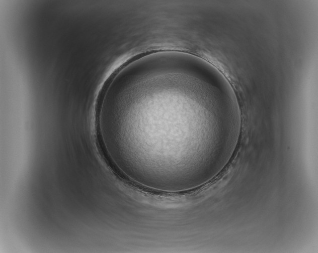 X0000111360008200907101240
