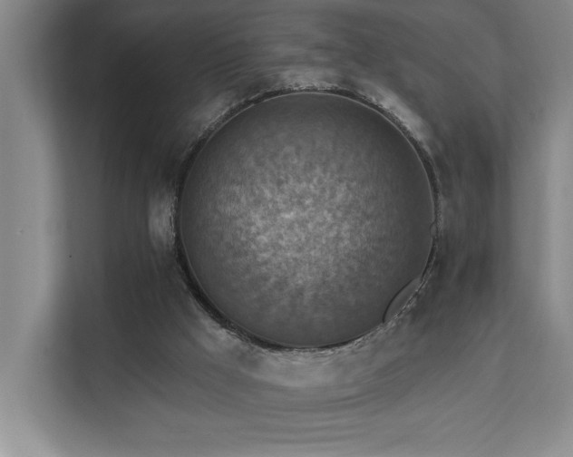 X0000111360009200907101240