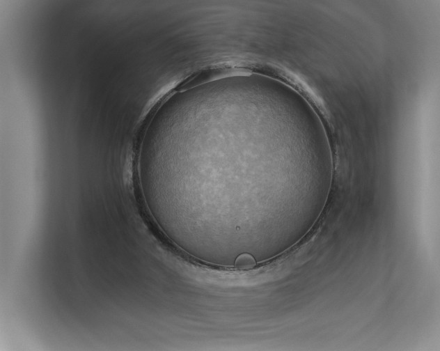 X0000111360010200907101240