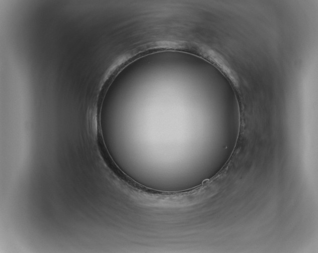 X0000111360011200907101240